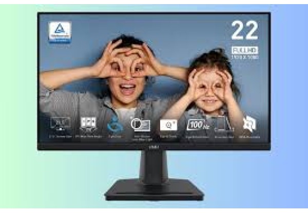 LCD MSI Pro MP225 22in FHD IPS 100Hz